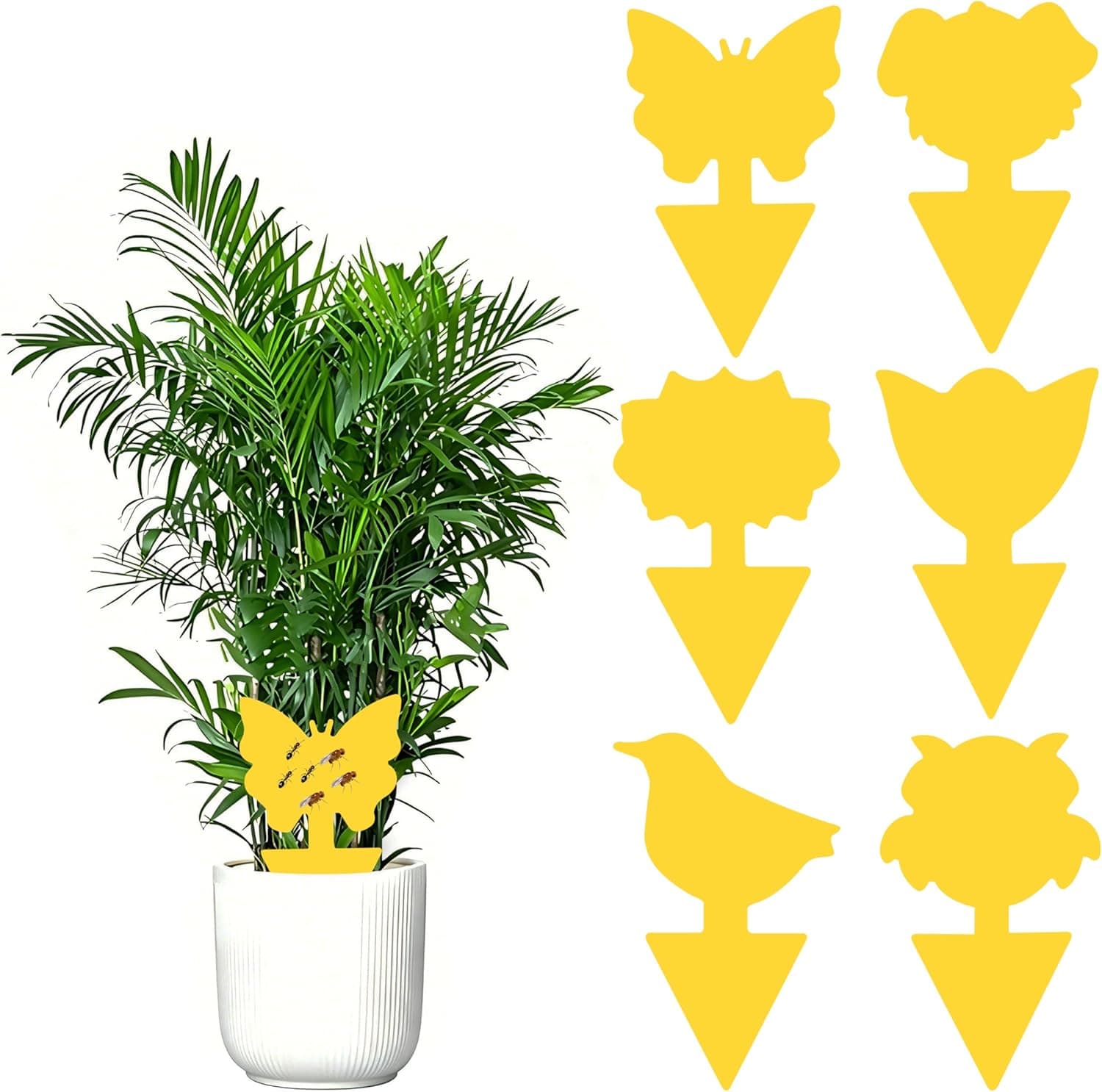 Xcdhemde Yellow Sticky Traps 60 Pcs, Double-Sided Stickers for Houseplant Indoor
