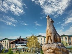 Great Wolf Lodge Perryville MD Water Park Resort