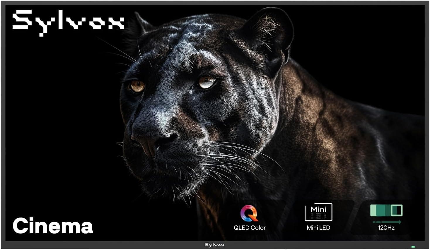 Sylvox 55" TV Extérieur 120Hz, Mini LED QLED 4K Smart Google TV - Meilleur Prix
