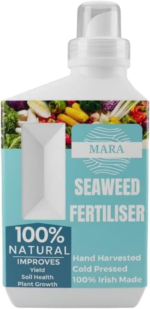Seaweed Extract Fertilizer | Hand Harvested and Cold Pressed Seaweed | Organic Plant Food | Plant Biostimulant | Tomato Food